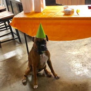 Guess who just turned a year old?!? 🎉